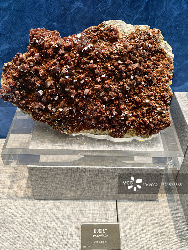 广西自然资源博物馆钒铅矿图片素材