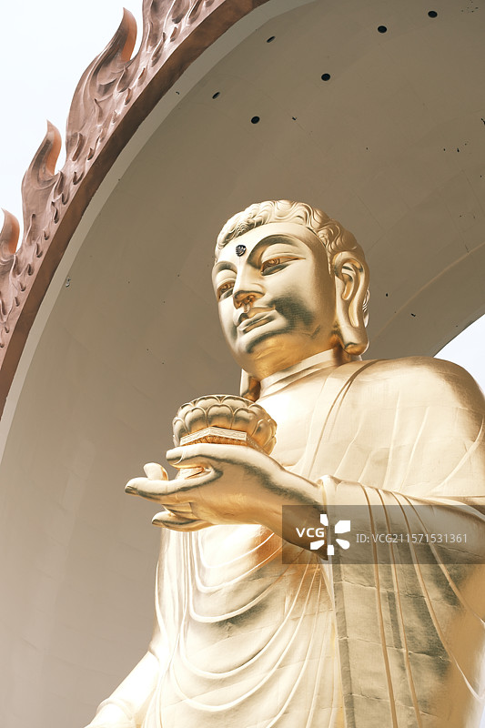 东林大佛图片素材