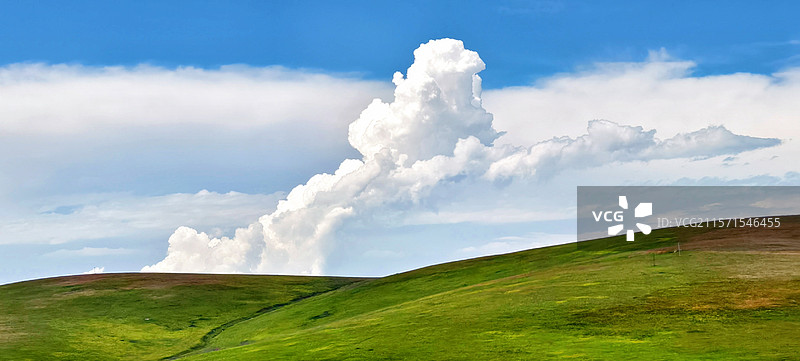 新疆伊犁喀拉峻草原图片素材