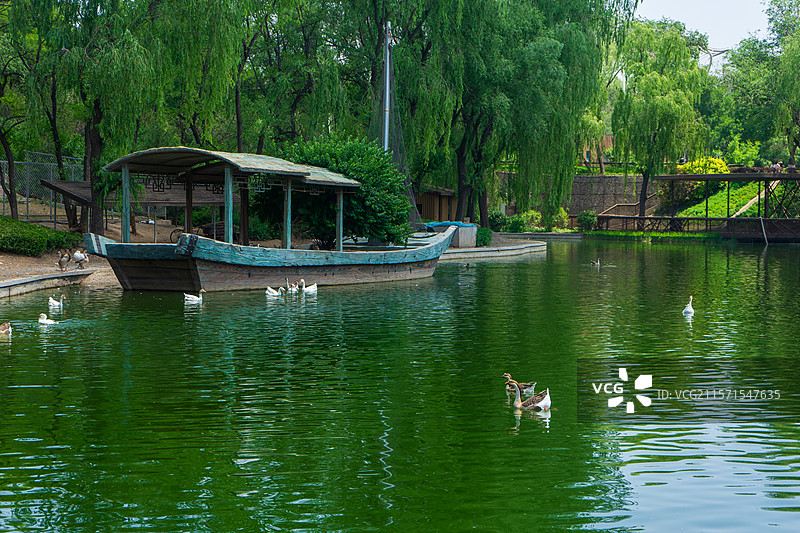 太原动物园水禽湖图片素材