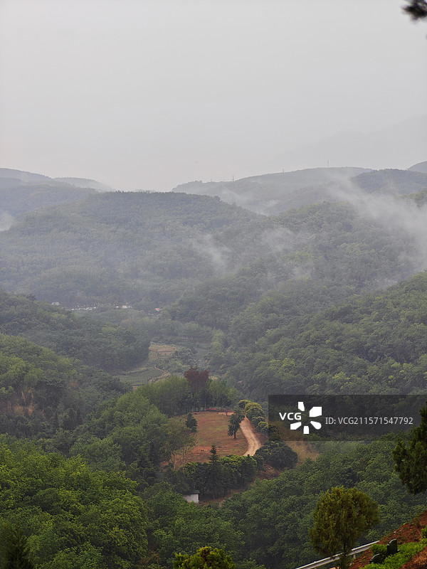 山间云雾缭绕的绿意景致图片素材