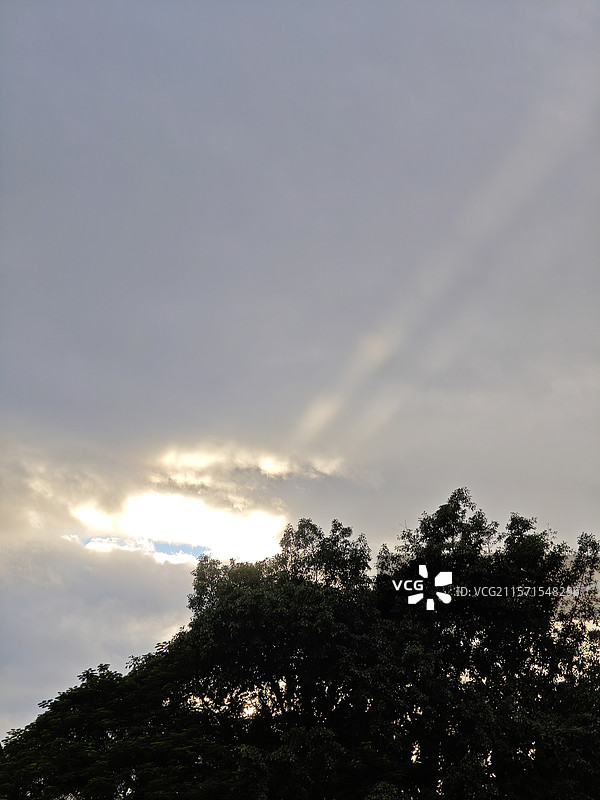 透过树梢的天空与光束图片素材