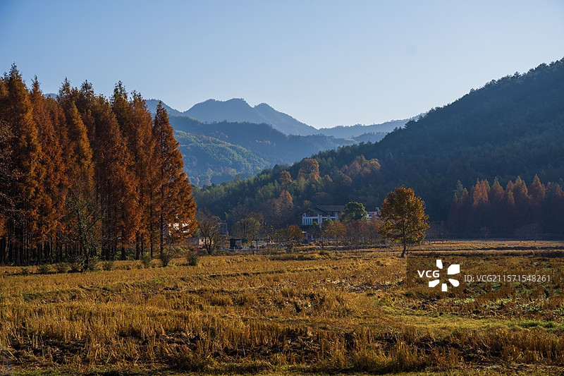 秋天的塔川风光图片素材