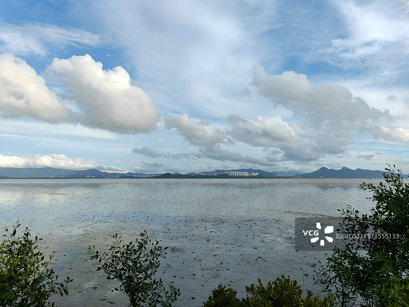 宁静的深圳湾公园海边景观图片素材