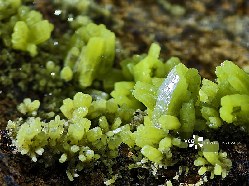 磷氯铅矿图片素材