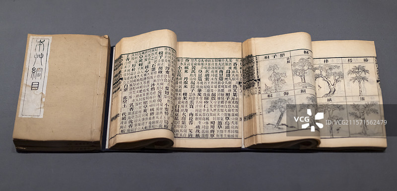 本草纲目 明李时珍撰 清张绍棠校 清光绪十一年合肥张氏味古斋刻本 湖北省博物馆图片素材