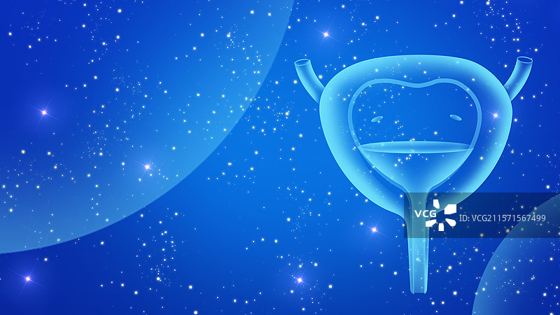 膀胱医疗保健泌尿外科人体健康前列腺扫描x光蓝色医疗图片素材