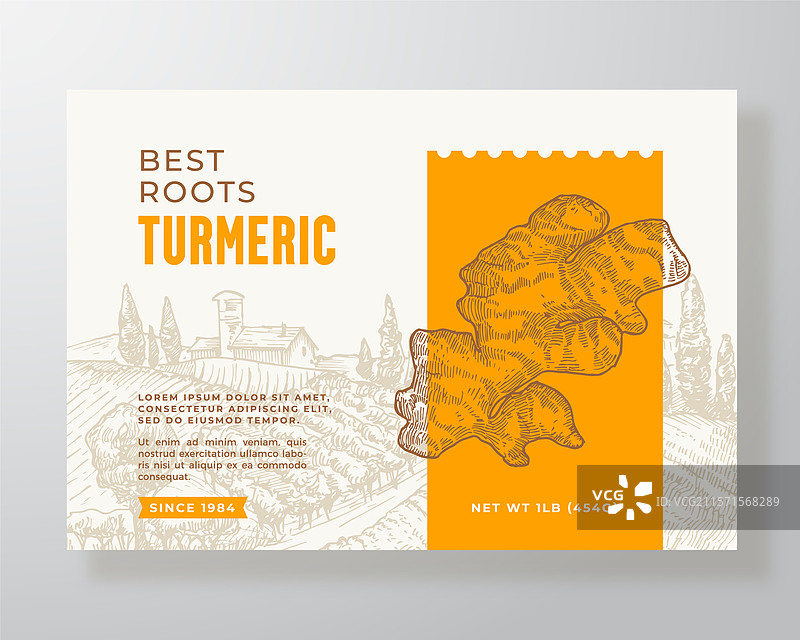 姜黄植物根咖喱食品标签模板图片素材