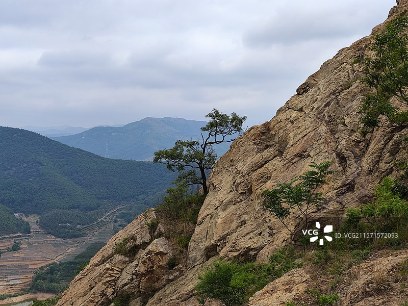 初夏芒种节气，莒县屋楼崮山里的树木图片素材
