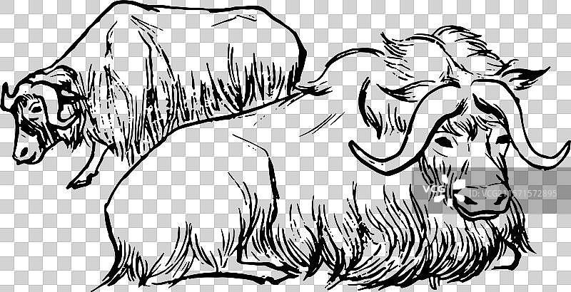 手绘 简笔画 元素 动物 牛 牦牛 高原 牛角图片素材