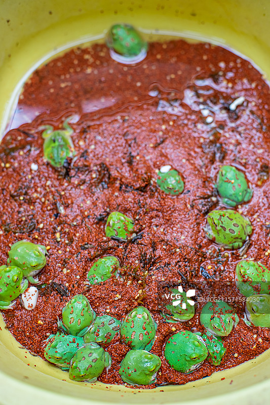 中国饮食产业拍摄主题，塑胶脸盆里装满了许多的活的绿角蛙青蛙动物，室内无人图像摄影图片素材