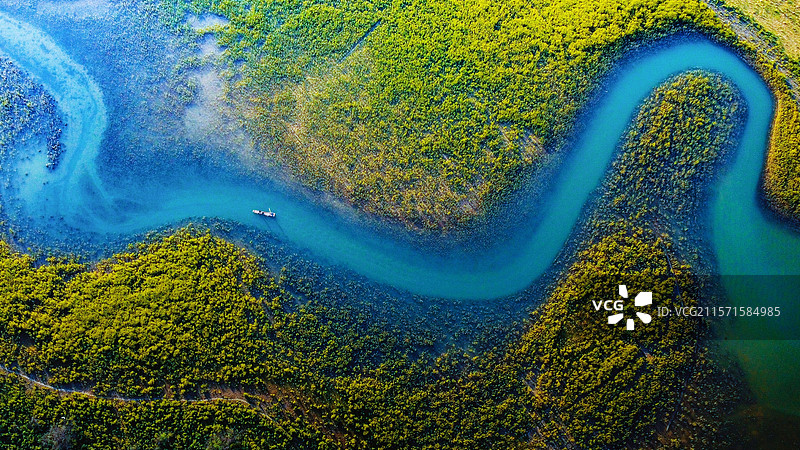 自然的律动图片素材