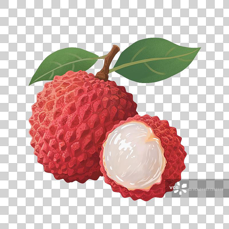 岭南水果荔枝植物元素南方手绘扁平风格图片素材