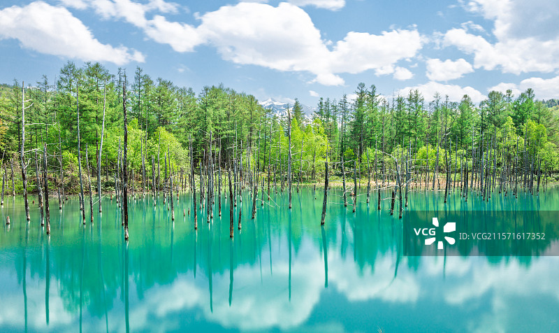 北海道青池图片素材