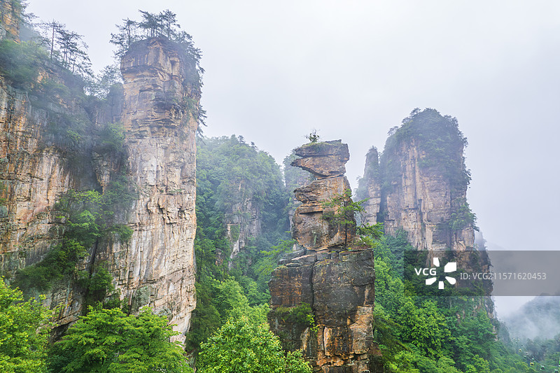 张家界武陵源杨家界景区之金鸡报晓图片素材