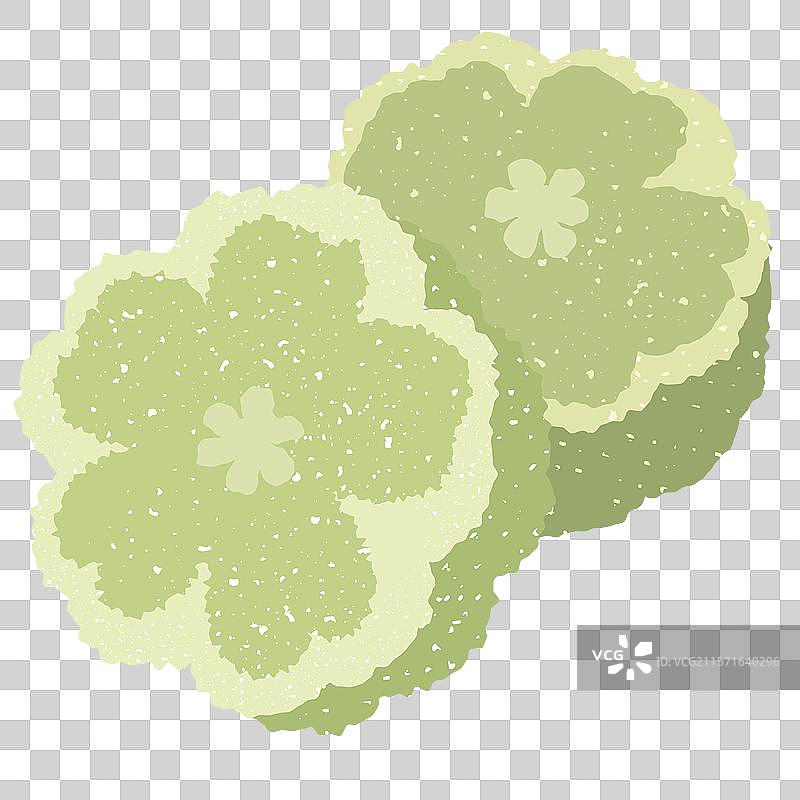 插画扁平风花瓣状中式糕点绿豆糕免抠元素图片素材