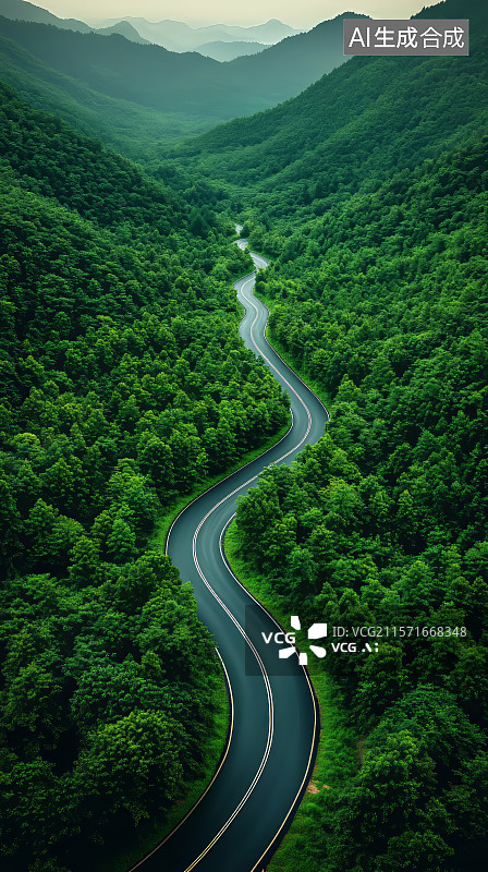 【AI数字艺术】林间公路的高角度视图图片素材