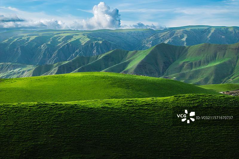 新疆伊犁草原光影图片素材