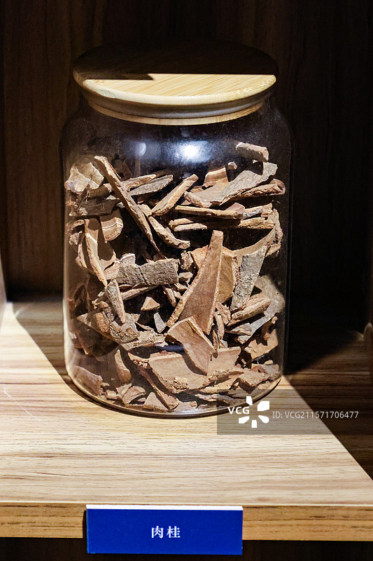 广西民族博物馆土人参鸡血藤两面针五指牛奶不出林密蒙花大罗伞等壮药组图图片素材