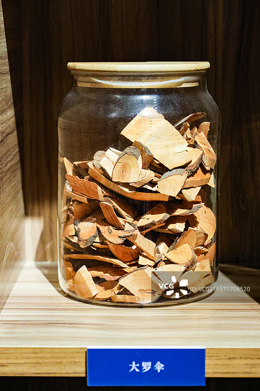 广西民族博物馆土人参鸡血藤两面针五指牛奶不出林密蒙花大罗伞等壮药组图图片素材