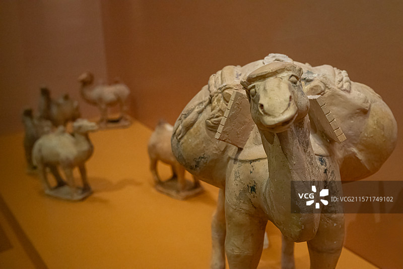 骆驼俑-唐图片素材