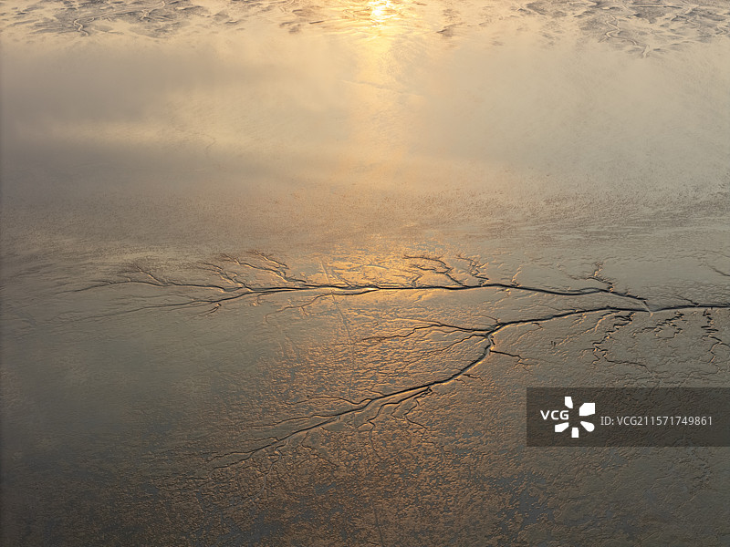 江苏盐城海湾日出潮汐树图片素材