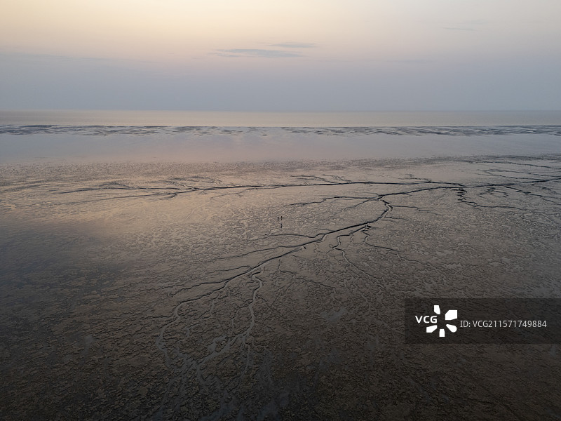 江苏盐城海湾日出潮汐树图片素材
