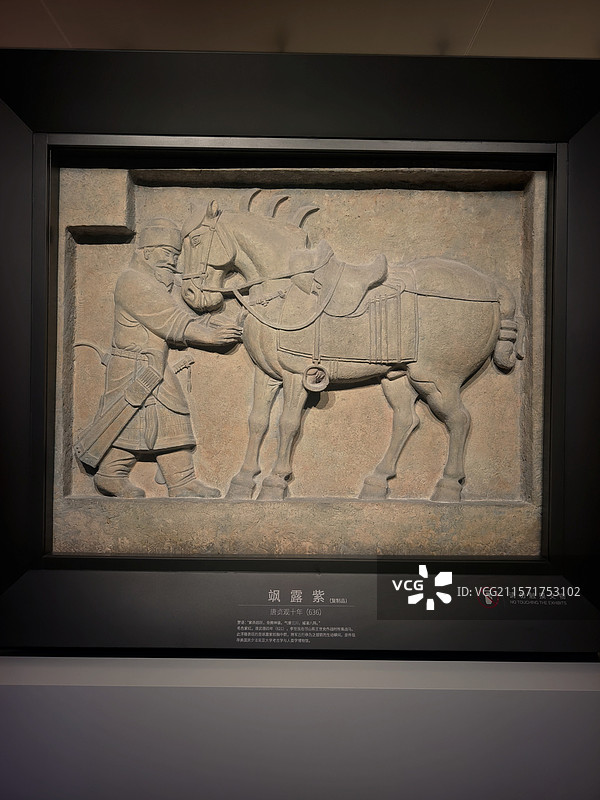 昭陵六骏 飒露紫图片素材