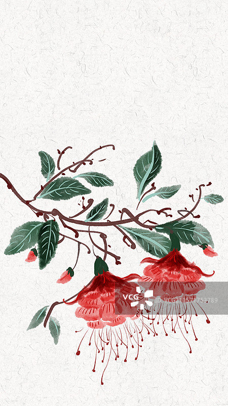 二十四节气古风花卉插画壁纸图片素材