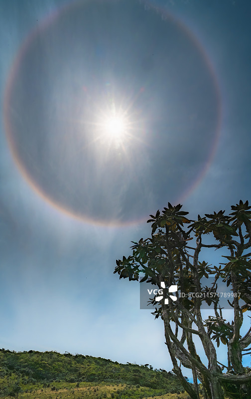 日晕|斯里兰卡霍顿平原 Horton Plains, Sri La图片素材