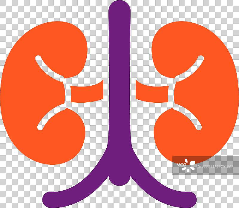 肾脏图标设计图片素材