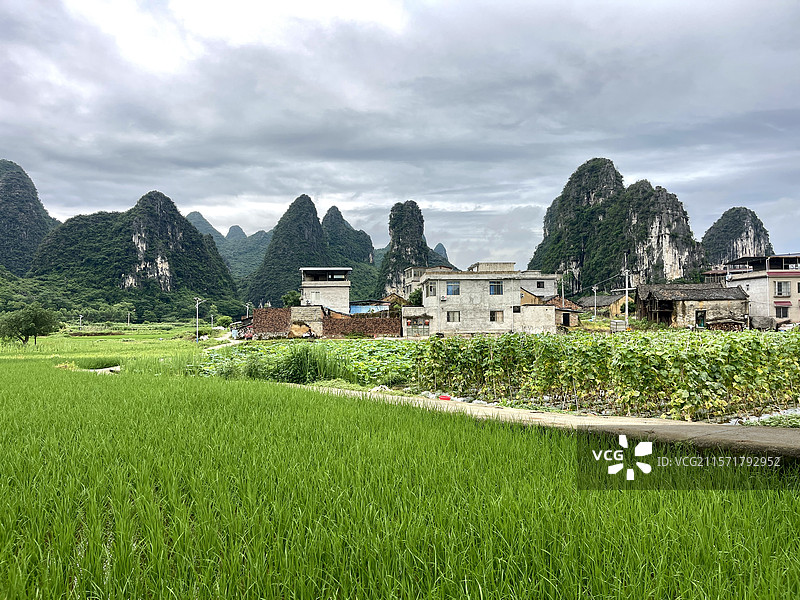 桂林东山村田园风光图片素材