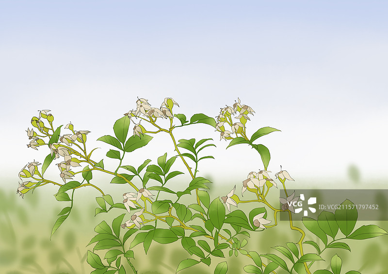 被落花掩埋的弓箭古风插画图片素材