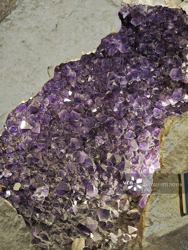 中国地质博物馆图片素材