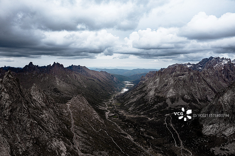 魔兽世界的莲宝叶则图片素材
