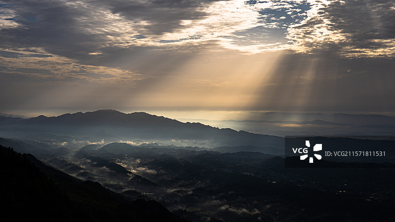 茶山竹海图片素材