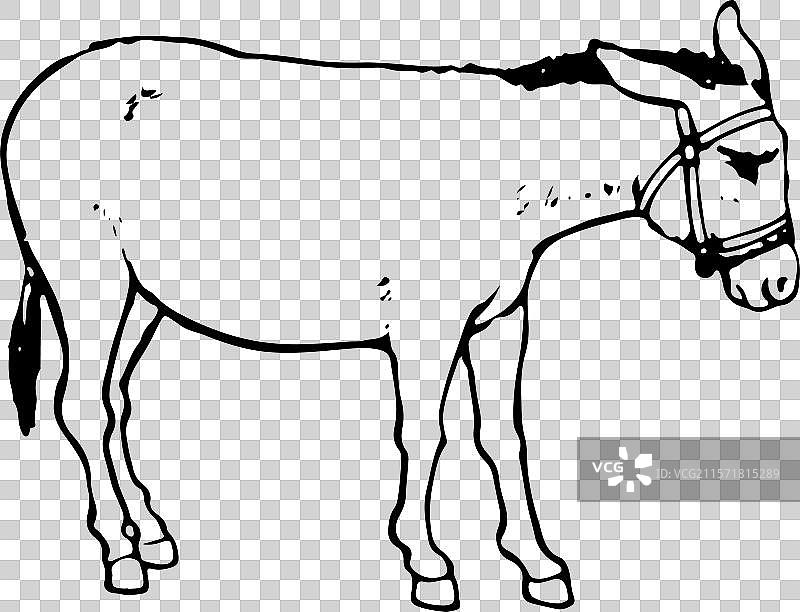 生肖图案 马 马年 小马驹 生肖 动物 简笔画图片素材