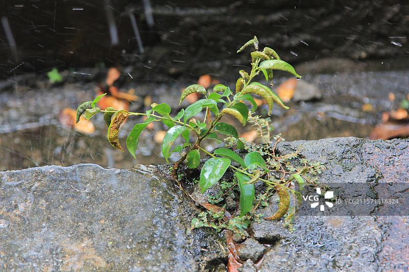 佛山南海影视城图片素材