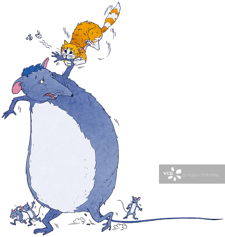 猫抓老鼠图片素材