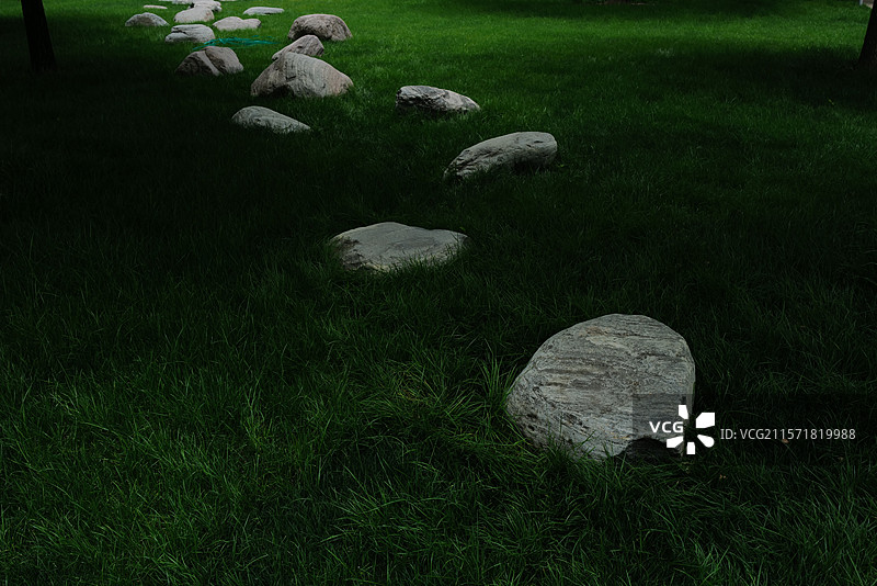 草地上石头的高角度视图图片素材