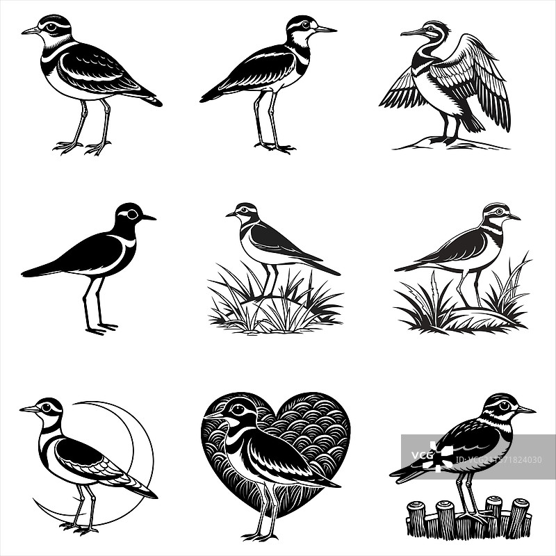 杀死鸟图片素材