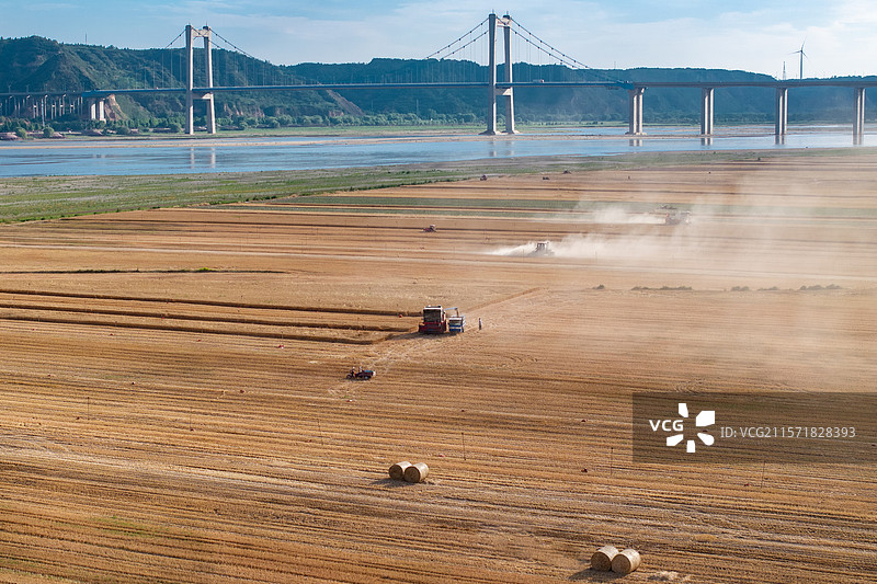 河南焦作武陟县麦田收割场景航拍图片素材
