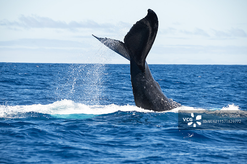 用力生活图片素材