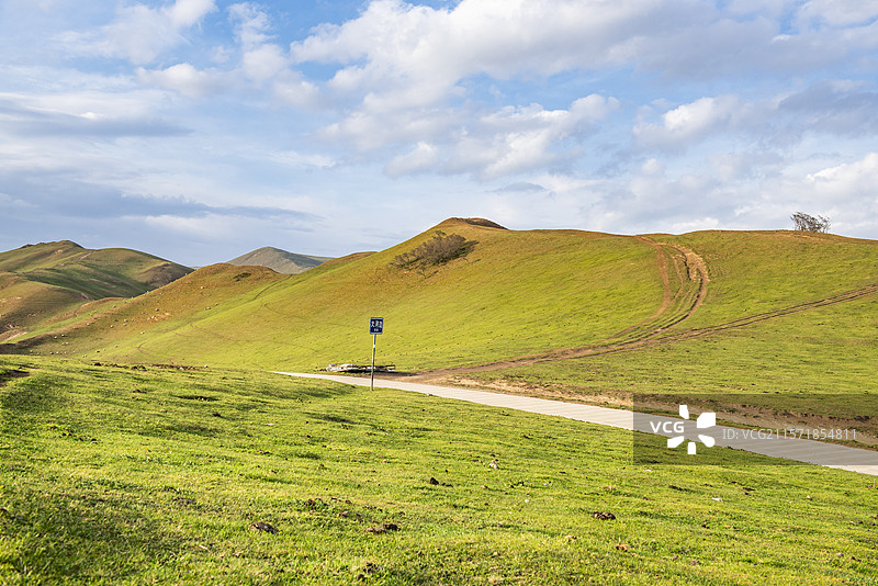 甘肃省陇南市礼县上坪乡大河边草原 甘肃高山草原 草原 礼县的草原图片素材