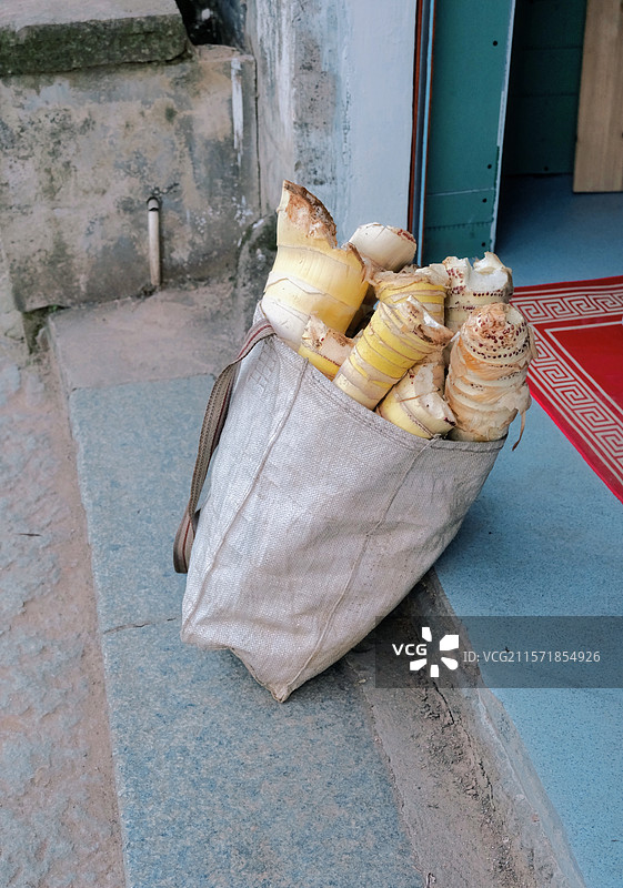 采摘后的笋图片素材