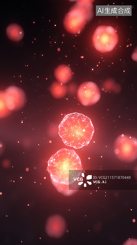 【AI数字艺术】细胞分裂过程中的两个细胞图片素材