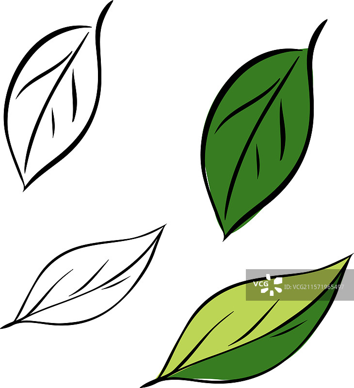 生态绿色叶子图形线条墨水套装图片素材
