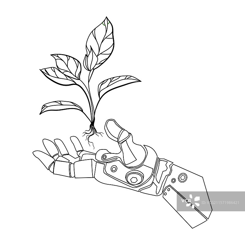 机械仿生手握着一株生长的植物线条图片素材