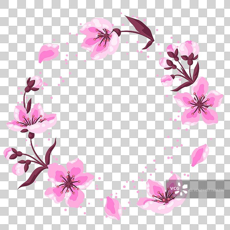 带有春季花卉的框架，苹果花或樱花图片素材