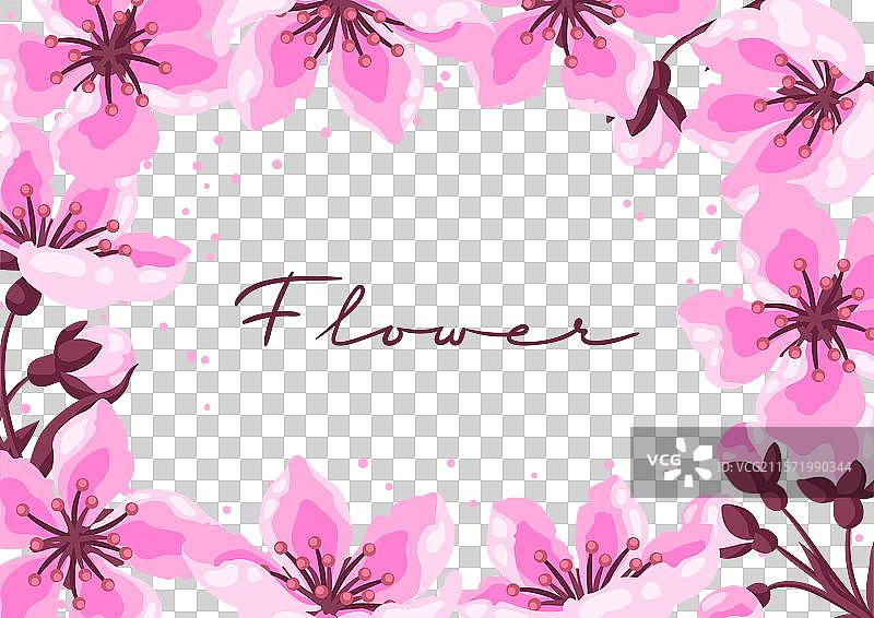 春天花卉背景，苹果花或樱花图片素材